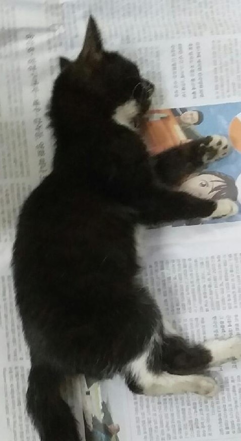 종료(자연사) 한국…